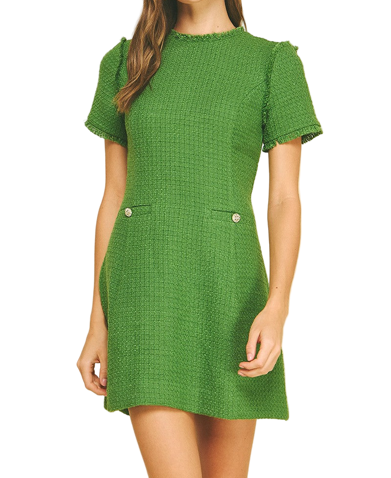 Cynthia Tweed Mini Dress