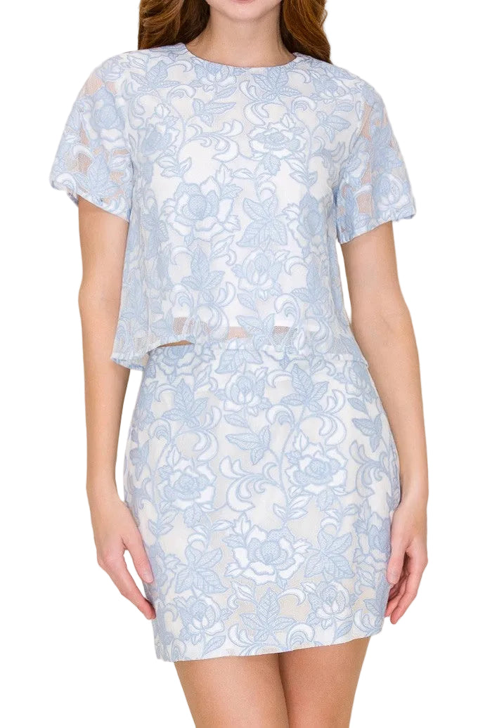 PRETTY IN BLUE Froral Embroidery Mini Skirt