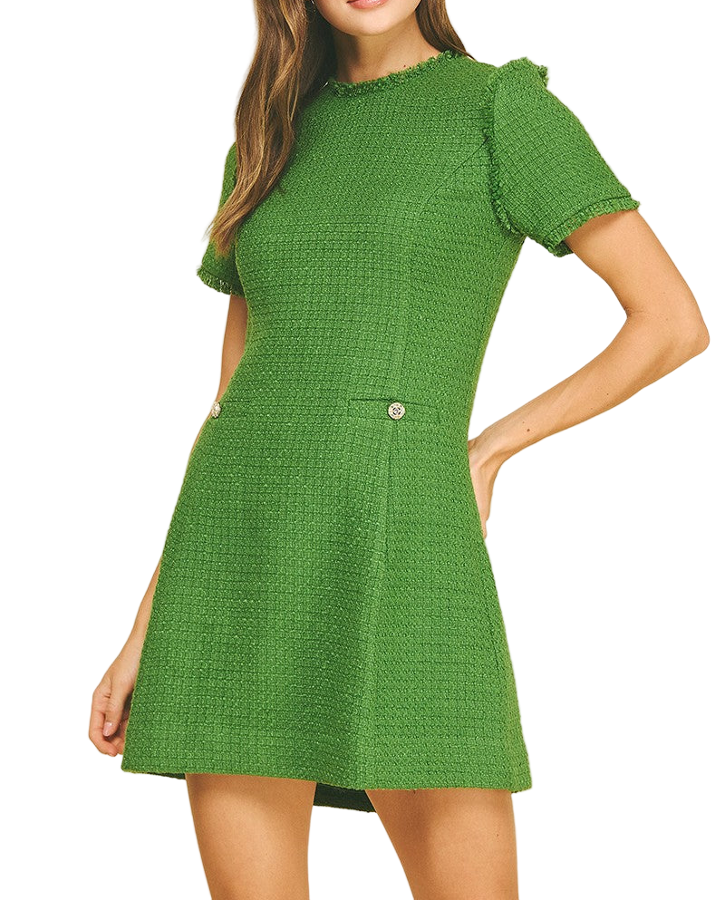 Cynthia Tweed Mini Dress