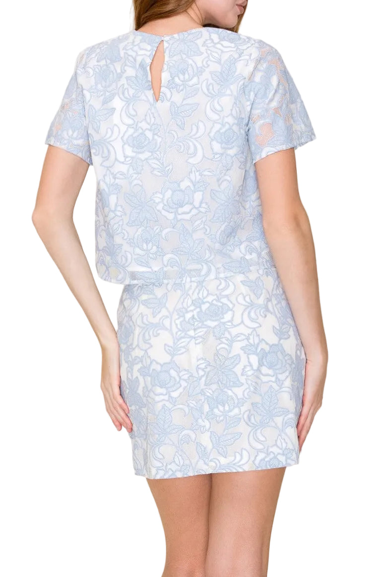 PRETTY IN BLUE Froral Embroidery Mini Skirt