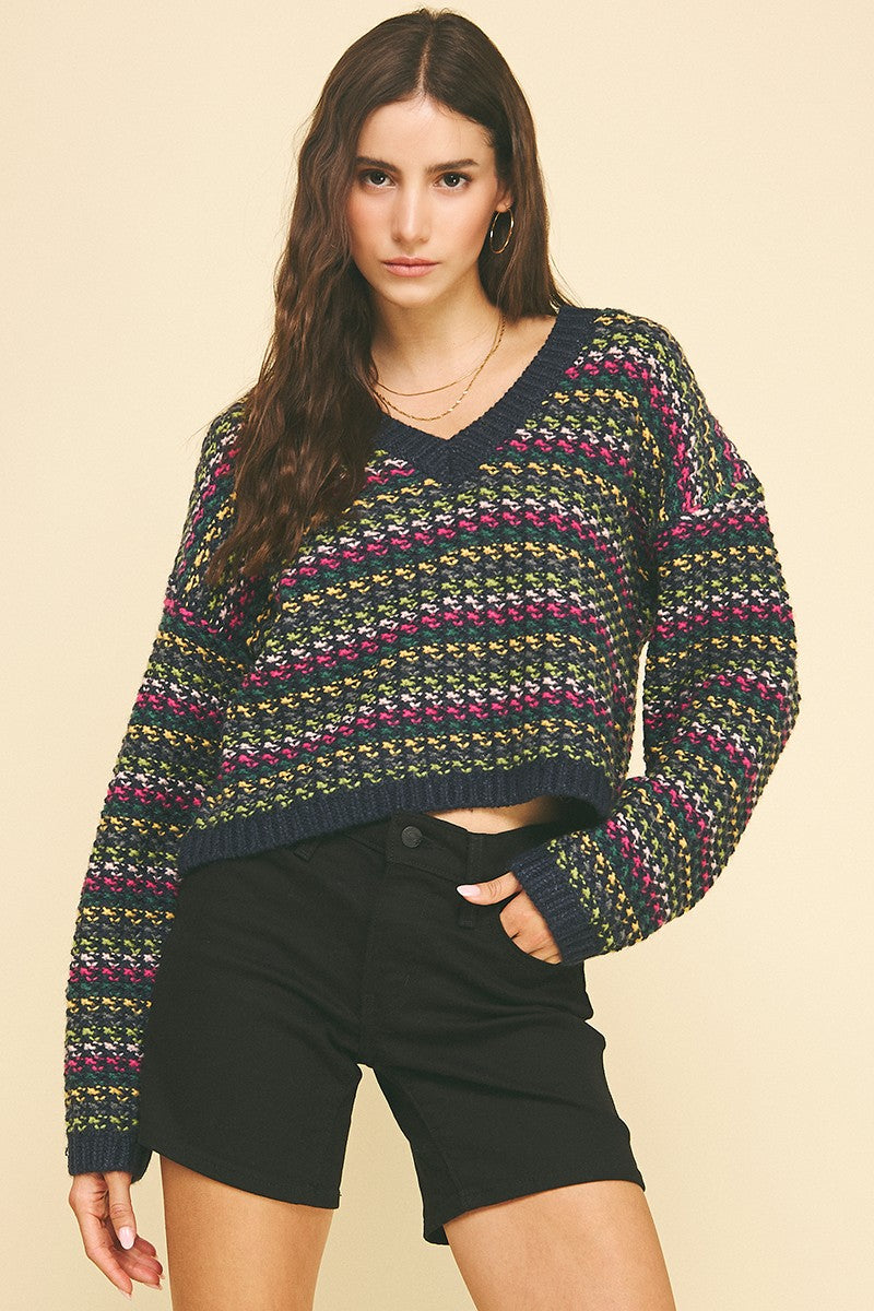 Colette Multi Color Knit Crop Sweater