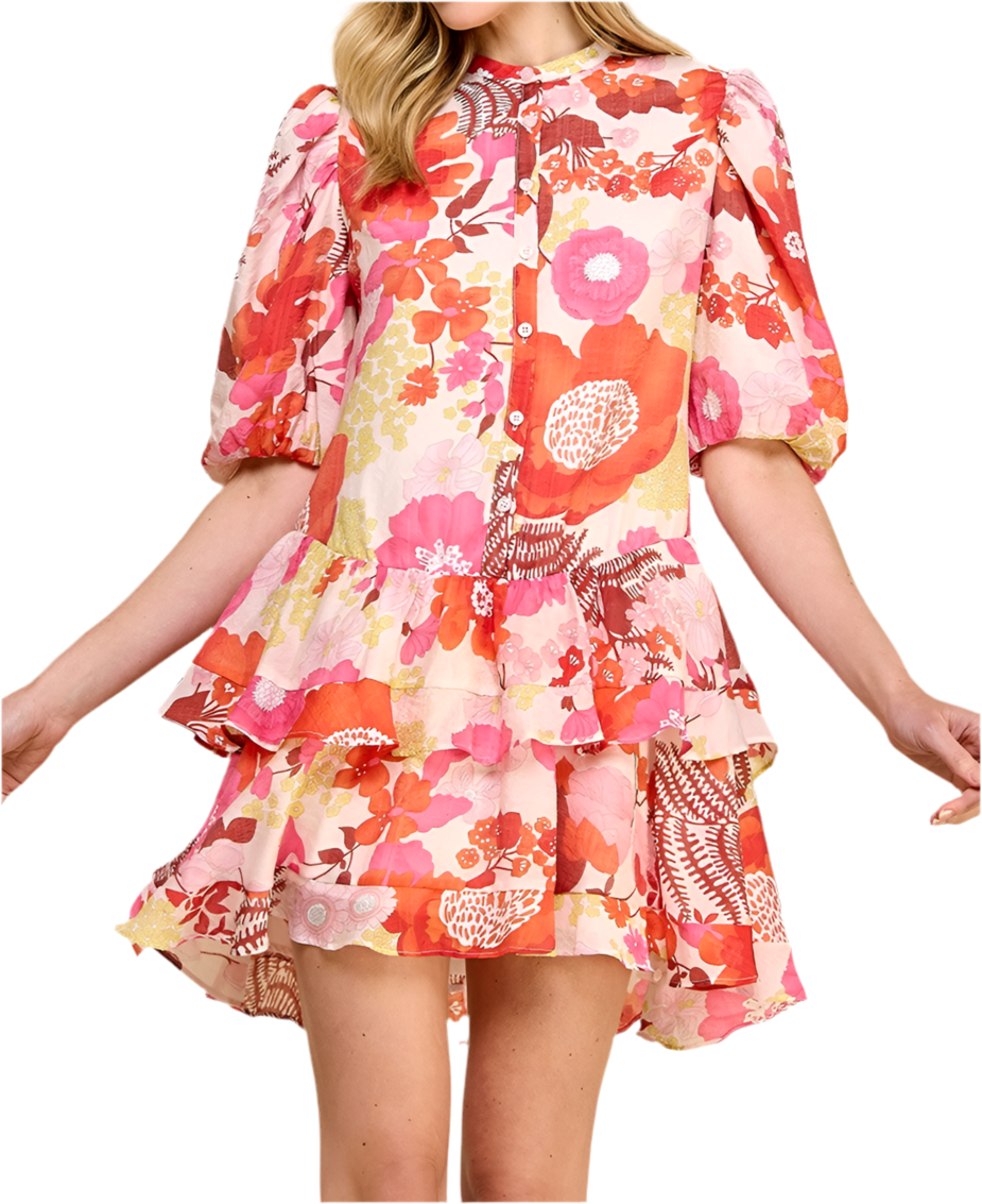 DANICA DRESS
