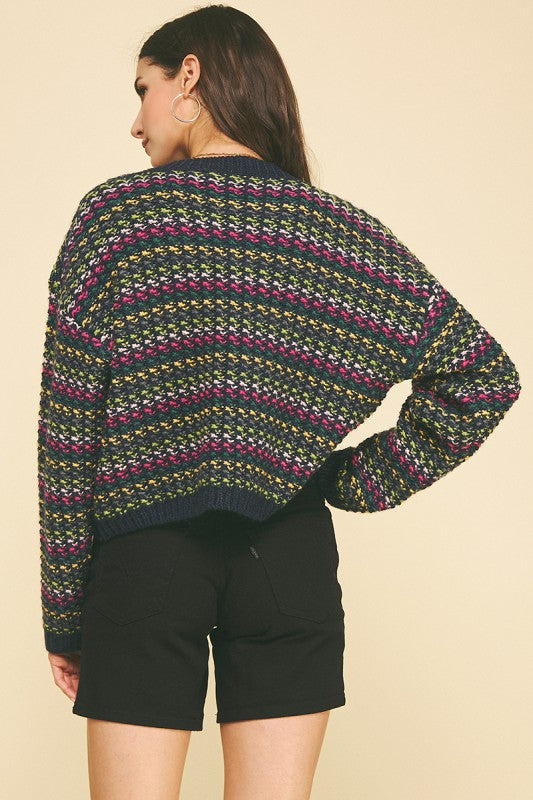 Colette Multi Color Knit Crop Sweater