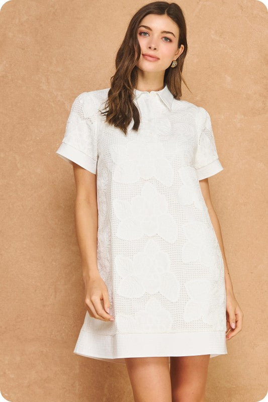 Alber Floral Crochet Collared Shirt Mini Dress